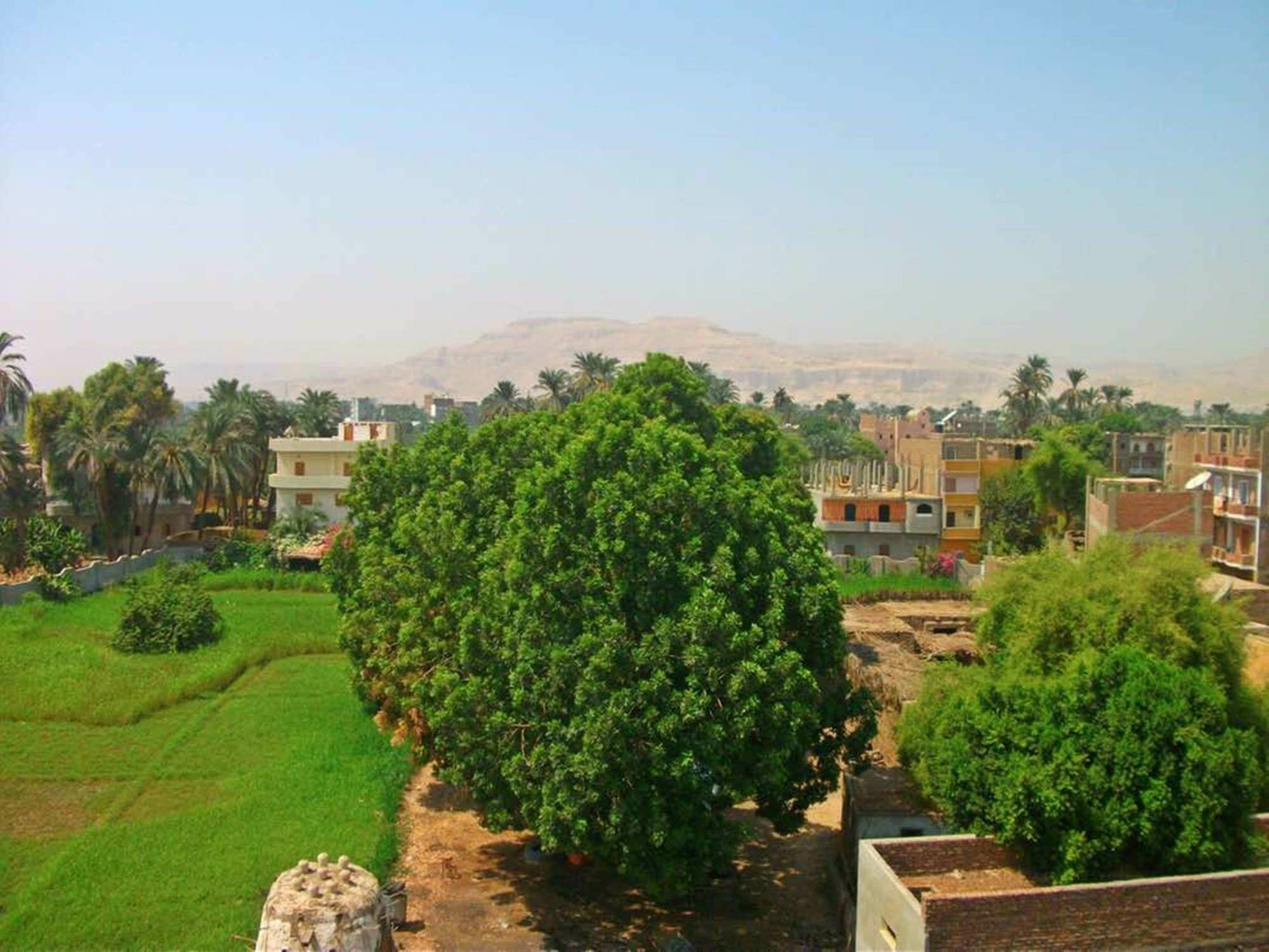 Farida Apartments Luxor Exterior photo