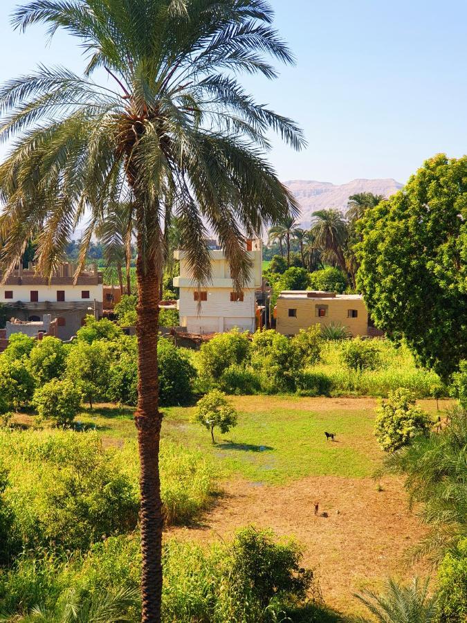 Farida Apartments Luxor Exterior photo