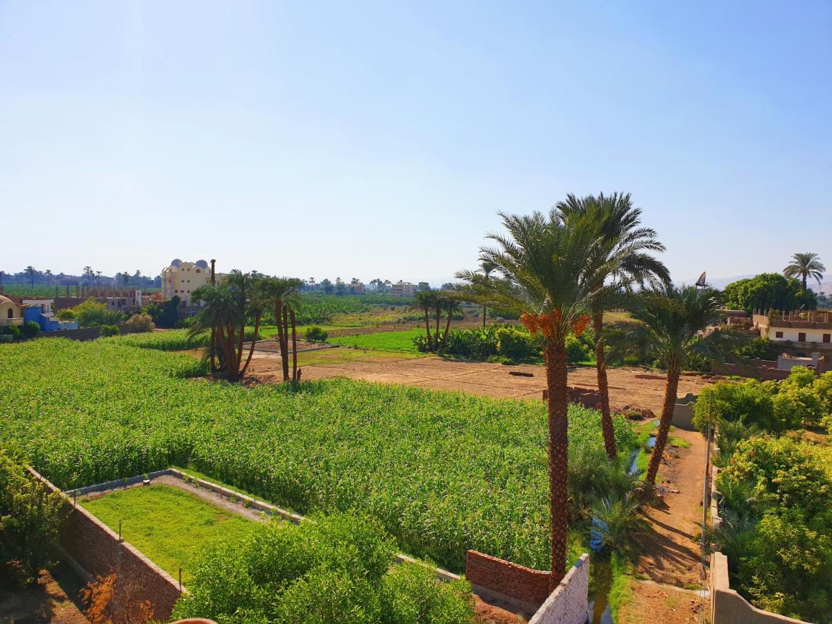 Farida Apartments Luxor Exterior photo